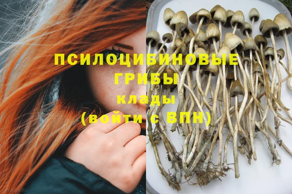 хмурый Волоколамск