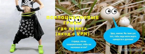 хмурый Волоколамск