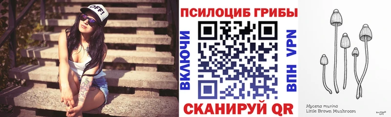 Купить  Уварово  Псилоцибиновые грибы Magic Shrooms 