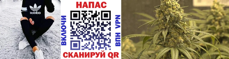 Купить где  Уварово  Конопля OG Kush 